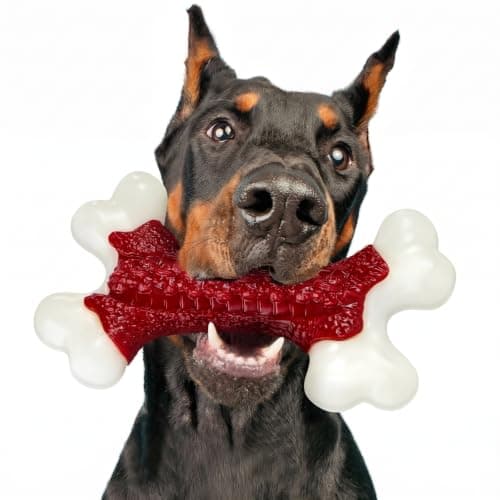 Kseroo Tough Dog Toys for Aggressive Chewers: Beef Flavored Hard Nylon Bones, Dog Chew Toys for Medium Large Breed Dogs (20-90 lbs), Red - Image 1
