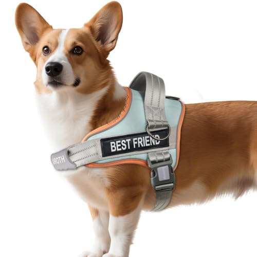 AUROTH Dog Harness No Pull Soft Padded Service Dog Vest, No Choke, Easy On Pet Vest with Handle, Adjustable Reflective Dog Harness for Small, Medium and Large Dogs, Easy Walking and Training