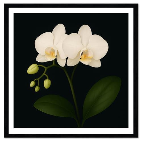 Moonow7 Framed White Orchid Wall Art for Living Room – Small Vintage Floral Print for Bedroom, Nature Gallery Wall, Flower Painting Picture, Moody Minimalist Flower Wall decor, Size 12x12” - Image 1