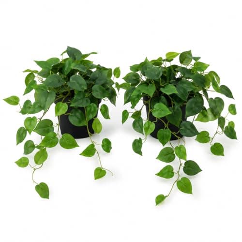 Corvessee Fake Plants – Set of 2 Pothos in Black Pots, Realistic Artificial Pothos for Indoor Decor, Lifelike Greenery for Living Room, Shelf, Office - Long Draping Pothos - Image 1