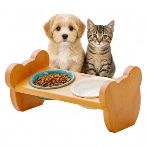 Elevated Double Ceramic Cat Bowls with Solid Beech Wood Stand, 10° Tilted