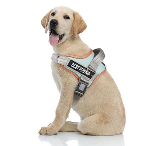 AUROTH Dog Harness No Pull Soft Padded Service Dog Vest, No Choke, Easy On Pet Vest with Handle, Adjustable Reflective Dog Harness for Small, Medium and Large Dogs, Easy Walking and Training - Image 1
