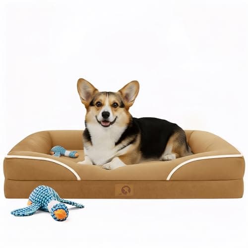 Homemate Dog Beds Large Sized Dog: 36x27 inch Orthopedic Large Dogs Bed XL Outdoor Pet Cat Bed Sofa Supplies with Toy Dogs Crate Pad Couch with Removable Washable Cover & Non-Slip Botton Brown