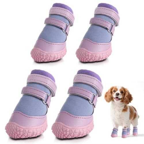 Dog Shoes for Small Dogs, Purple, Size 1