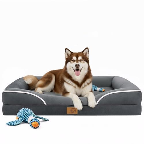 HOMEMATE Dog Bed for Extra Large Dog: 48x35 inch Orthopedic Large Dogs Bed XXL Outdoor Pet Cat Bed Sofa Supplies with Toy Dogs Crate Pad Couch with Removable Washable Cover & Non-Slip Botton Dark Grey - Image 1