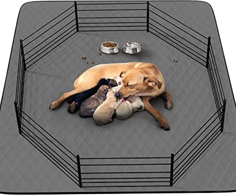 Washable Reusable Dog Pee Pads, 34"x52" Absorbent & Waterproof Puppy Training Pad for Crate, Playpen & Carpet, Large Potty Pads for Dogs, Cats & Small Pets - Image 1