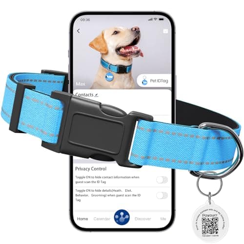 Pawduct Dog Name Tags Personalized Collar, Smart ID Tag, Medium, Blue - Image 1