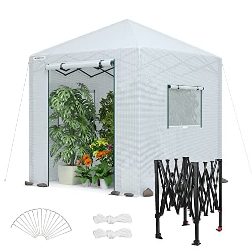 WORKPRO Greenhouse, 94”x 94”x 99” Pop-up Greenhouse for Outdoors , Heavy Duty Gardening House with Sturdy PE Cover, Roll-up Entry Doors and 2 Screen Windows, for Patio, Backyard, Balcony - Image 1