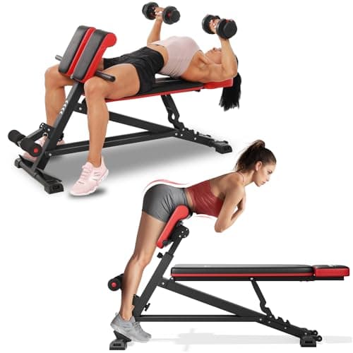 Flybird 4 in 1 Roman Chair with Adjustable Weight Bench & Sit Up Bench for Full Body Workout, Fitness equipment for HyperBack Extension for Glutes, Hamstrings & Lower Back, Multi-Purpose for Home Gym - Image 1