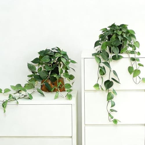CCPanda Fake Pothos Hanging Plants with Pots, 33.5" Set of 2 Faux Ivy Vines, Realistic Silk Artificial Plants Greenery for Home Indoor Decor, Living Room, Desk Shelf, Bathroom Decoration - Image 1