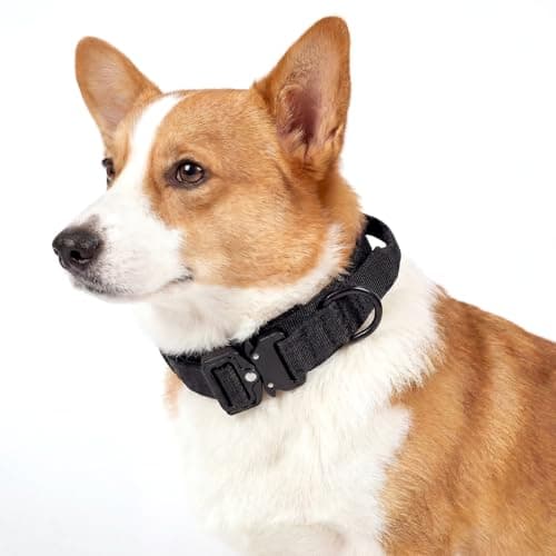Relux Tactical Dog Collar with Handle – Designed for Small Dogs Adjustable Nylon Pet Collar with Heavy-Duty Metal Buckle, Durable and Comfortable Dog Collar, Suitable for Small Dogs (Black, M)