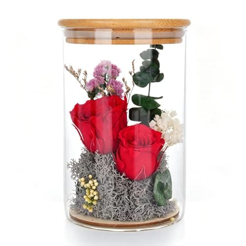 Wisifayardin Preserved Rose Flowers in Glass Jar with Bamboo Lid - Long Lasting Eternal Real Red Roses with Eucalyptus & Moss, Forever Flower Gift for Her, Mom, Valentine, Birthday, Home Office Decor - Image 1