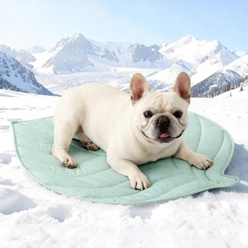 COZY KISS Cooling Mat/Pad/Blanket for Dogs & Cats Indoor — Fabric, Non-Gel, Non-Electric, Q-Max > 0.4 Leaf Shaped Pet Pad, Waterproof Summer Sleep Mat, 33x28inch, Green - Image 1