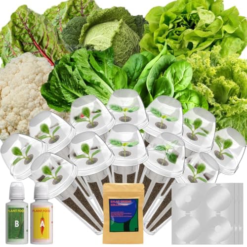 12 Pods Salad Greens Seed Pod Kit for AeroGarden, iDoo, Ahopegarden, Hydroponic Growing System Include 3 Kinds of Lettuce and Cauliflower, Spinach, Cabbage, Chard, 400+ Seeds - Image 1