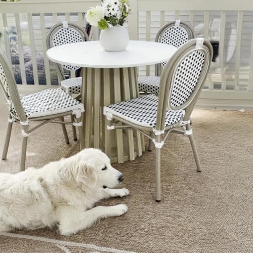 PURPLE LEAF Patio Dining Chair Set of 2 Outdoor French Aluminium Frame in Champagne Finish with Sky Blue & White Woven Rattan for Indoor Kitchen Deck Bistros Cafe Restaurant - Image 1