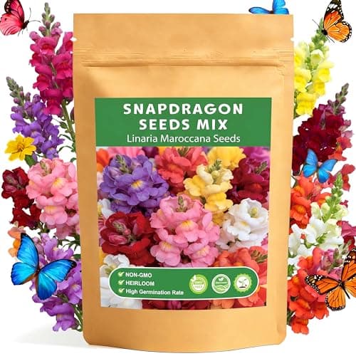 LUOJIBIE Snapdragon Seeds, 10,0000+ Tetra Mix Snapdragon Seeds for Planting (Antirrhinum Majus) Fairy Bouquet Blend, Non-GMO Heirloom Annual Flower Garden Seeds Bulk for Outdoor & Indoor - Image 1