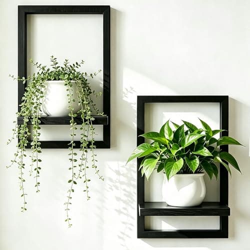 Kassiwealt 2 Pcs Rectangular Frame Solid Wood Wall Shelf for Indoor Plants - Image 1