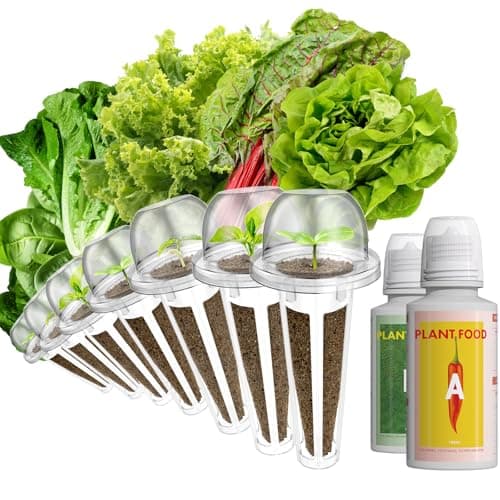 LYKOCLEAN Salad Buttercrunch Lettuce Seeds for AeroGarden, iDOO, Ahopegarden Hydroponics Growing System, 7-pods, 350+ Seeds (Include Spinach, American Fast Lettuce,Paris Island Lettuce, Cauliflower) - Image 1