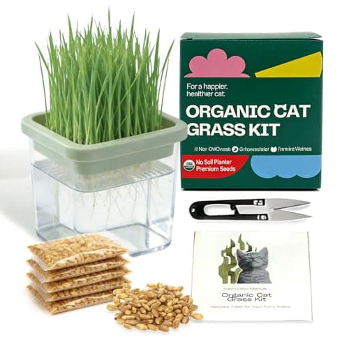 Hydroponic Cat Grass Kit with 5 Pack Non GMO Seeds & Scissors – Small Size for Frequent Fresh Batches, Grow up to 5 Times, Easy 3-Step Setup, Gifts for Cat Lovers (Food-Safe PP&AS, 7-Day Growth) - Image 1
