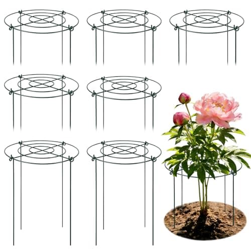 Peony Cages and Supports 8 Pack, 11.5 x 20 Inch Heavy Duty Plant Support Cage Set for Peonies, Roses & Tomatoes – Garden Stakes & Plant Cages for Outdoor Plants (8 Pack, 11.5 x 20 Inch) - Image 1