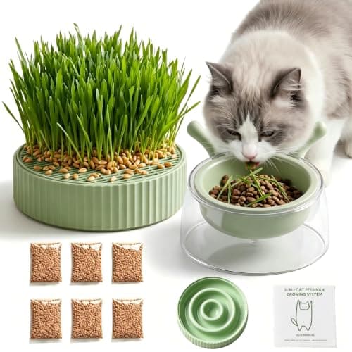 3-in-1 Slow Feeder Bowl, Cat Grass Growing Kit & Elevated Cat Food Bowl,