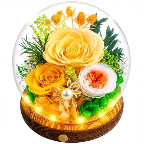 Elover Preserved Roses in Glass Dome with LED Light Long Lasting Real Flowers,Forever Eternal Rose for Mother's Day,Valentine's Day,Birthday Gifts for Women,Mum,Wife,Girlfriend (Champagne) - Image 1