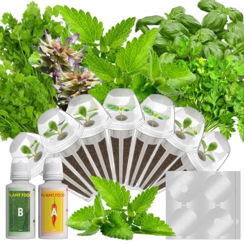 Quality Herb Seed Pod Kit for AeroGarden, iDOO, Ahopegarden - Compatible with All Hydroponic Indoor Garden Systems, High Germination, Includes Basil, Parsley, Mint, Cilantro, Liquorice, 7 pods - Image 1