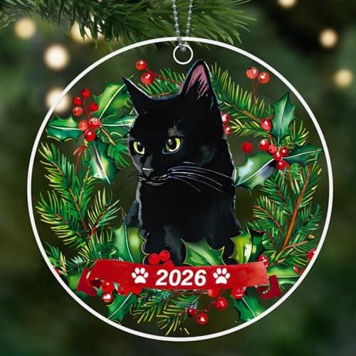 Black Cat Christmas Ornaments 2026, Cat Ornaments for Christmas Tree, Cute Acrylic Pet Ornament, Black Cats Gifts for Women - Image 1