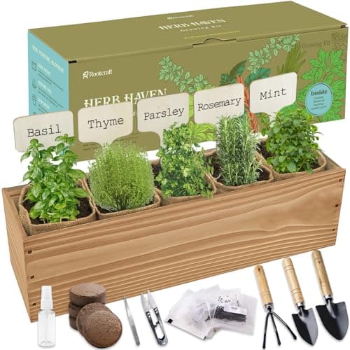 5 Herb Garden Planter Indoor with Wooden Box, Home Kitchen Seed Starter Kit Including Basil, Thyme, Parsley, Rosemary, Mint, Birthday, Mothers Day, House Warming, Gardening Gifts for Women, Mom - Image 1