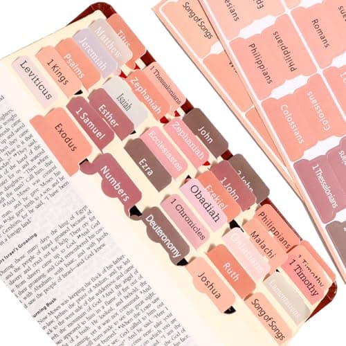 Bible Tabs for Reading & Study - Brown Bible Tabs for Kids/Teens Bible Study & Prayer, Large Print Easy to Read, 73 Bible Tabs Old and New Testament and 17 Blank Custom Tabs - Image 1