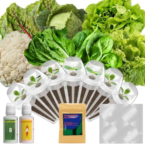 Salad Seeds for AeroGarden, iDOO, Ahopegarden Hydroponics Growing System, 7-pods, 350+ Seeds (Include Spinach, Swiss Chard, American Fast Lettuce, Cabbage, Cauliflower) - Image 1