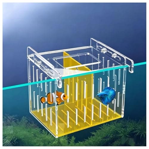 SSKKBX Large Acclimation Box for Saltwater Fish, Acrylic Hang on Back Breeder Box with Divider & Feeding Window, for Saltwater and Freshwater, 9.84 x 8.27 x 6.30 Inches - Image 1