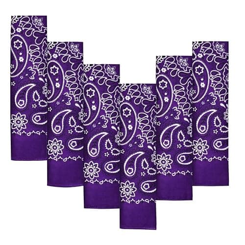 6-Pack Purple 100% Cotton Bandanas Gift Set – 22x22 Inch Paisley Head Wraps, Face & Neck Scarves, Multi-Purpose Accessories for Men & Women, Holiday & Everyday Gifting