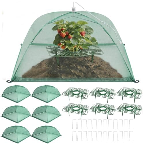6 Sets Strawberry Plant Support with Mesh Plant Cover, Strawberry Growing Rack Kit with 24 Iron Plant Nails for Garden, Strawberry Growing Frame with Protective Net for Strawberries Tomatoes Veggies - Image 1