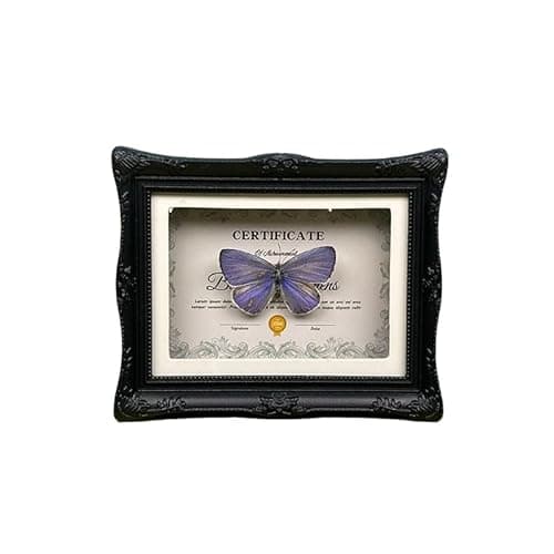 1Pcs Real Butterfly Framed Handmade, Taxidermy Butterfly Shadow Box Collection, Framed Butterfly Taxidermy for Oddities and Curiosities Gifts Tabletop Ornaments (#13-butterfly Specimen+photo Frame) - Image 1