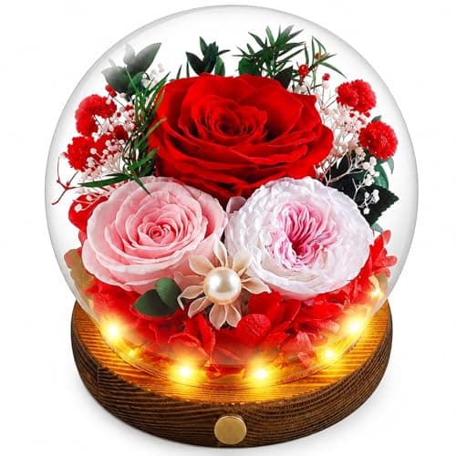 Elover Preserved Roses in Glass Dome with LED Light Long Lasting Real Flowers,Forever Eternal Rose for Mother's Day,Valentine's Day,Birthday Gifts for Women,Mum,Wife,Girlfriend (Red) - Image 1