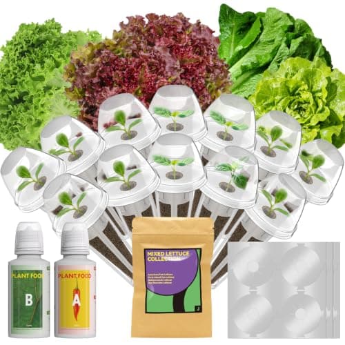12 pods Red romaine lettuce seed Pods for AeroGarden, Ahopegarden, iDOO, MUFGA - Compatible with All Hydroponic Indoor Garden Growing system refill, 400+ Seeds - Image 1