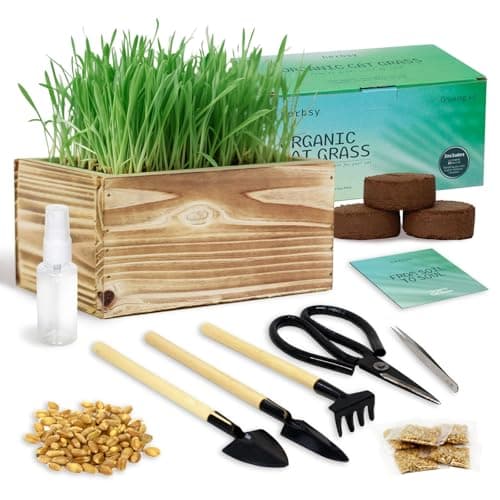 Cat Grass for Indoor Cats – x5 Seed Packets | Cat Grass Seeds with Wooden Planter, Soil & Mini Gardening Tools for Nipping– Pet Wheatgrass Grass, Gifts for Cat Lovers - Image 1