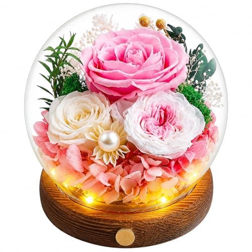 Elover Preserved Roses in Glass Dome with LED Light Long Lasting Real Flowers,Forever Eternal Rose for Mother's Day,Valentine's Day,Birthday Gifts for Women,Mum,Wife,Girlfriend (Pink) - Image 1