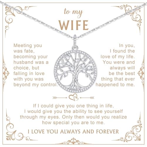925 Sterling Silver Necklace Jewelry for Women- Exquisite Zircon Trendy Dainty Adjustable Chain Forever Love Pendant Necklace Heart Round Teardrop Birthday Anniversary Valentines Day Gift for Wife (Round) - Image 1