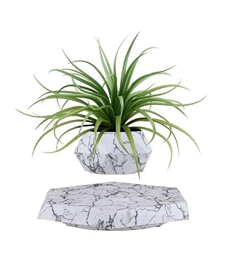 Magnetic Levitation Floating Plant Pot, Magnetic Levitating Plant Pot for Plants,360°Rotating Levitating Desk Decor for Home & Office,Floating Pot Gift for Plant Lovers,Birthday, Christmas, New Year - Image 1