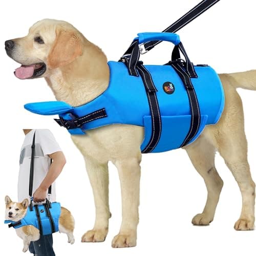 Dogcheer Dog Life Jacket with Zipper and 4ft Leash, Adjustable Pet Life Vest for Swimming Boating, High Buoyancy Flotation Swim Vest PFD for Small Medium and Large Dogs-Blue,M