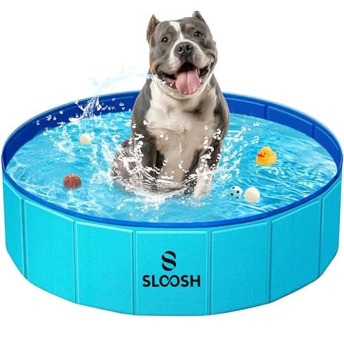 Sloosh Foldable Dog Kiddie Pool - Portable Hard Plastic Doggie Swimming Pool, Anti-Slip Collapsible Pets Bath Tub Suitable for Kids Indoor Outdoor Backyard Use (Blue, 32" x 8")