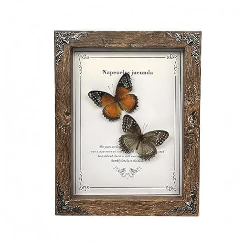 Wugakio Real Butterfly Framed - Hanging wood grain photo frame, Taxidermy Animals for Oddities and Curiosities Gifts (cethosia biblis+White saw butterfly - Wood Grain Photo Frame) - Image 1