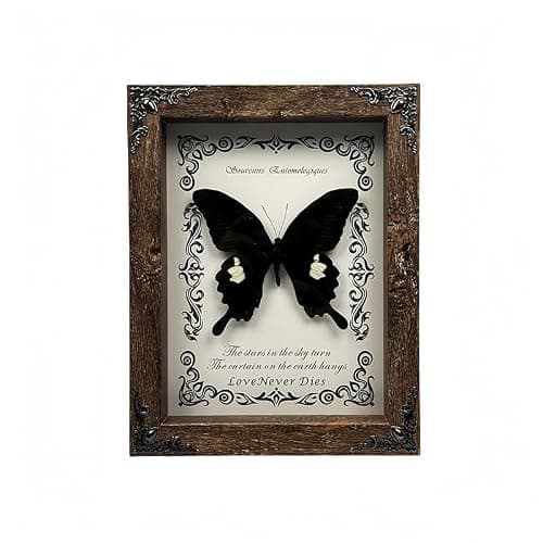 Wugakio Real Butterfly Framed - Hanging wood grain photo frame, Taxidermy Animals for Oddities and Curiosities Gifts (Jade spotted butterfly - Wood Grain Photo Frame) - Image 1